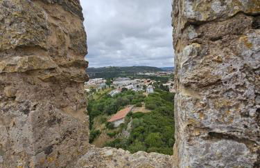 Sunflower Castle View in Óbidos - Foto 31