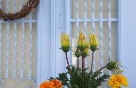 Cavos Seaside House - Foto 53