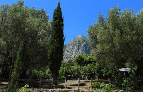 Pie' d'Ulivo - Foto 115