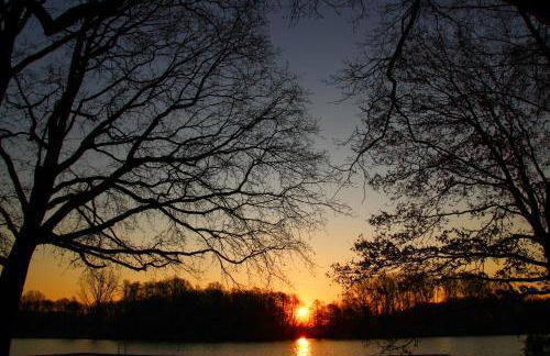 Ferienwohnung Auf der Blumenstrasse - Foto 33