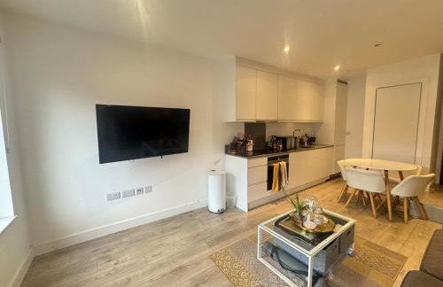 JVL Nice Cosy 1BR Flat Purley, London - Foto 48