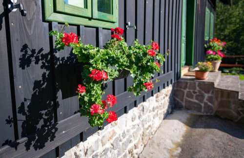 Šajnska Hiža, autentična goranska kuća u prirodi - Foto 29