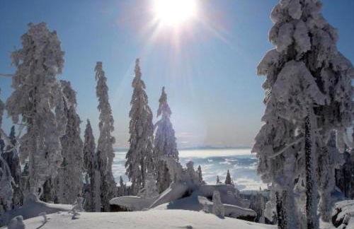 Ferienwohnung BEER - Photo 7