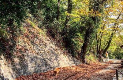 Melithos Villa - Foto 51