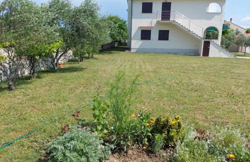 Apartments Vlasici - Foto 35