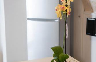 Il Riparo Via Molino 5 - Foto 23