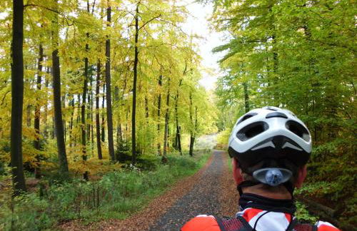 Haus Berghoff - Foto 25