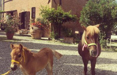 Agriturismo Pieve Sprenna - Foto 76