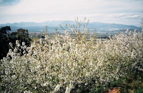 Casa Entre Serras - Foto 14