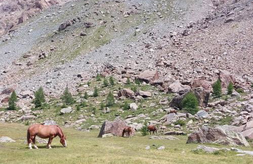 La casetta in Val Masino - Foto 7
