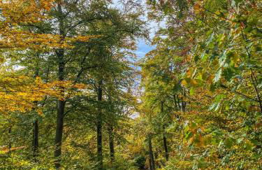 Ferienwohnung Santino - Foto 23