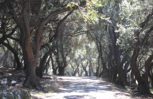 Villa Leena - Photo 45