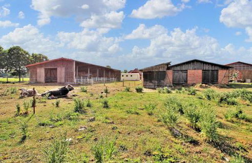 Ferienwohnung Userin - Photo 13