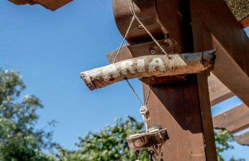 Agriturismo Terra Di Elea azienda agricola di Raimondo MIchela - Foto 22