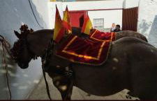 Casa Rural Pilar Seco - Foto 37