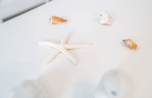 Sea Foam House in Livorno - Foto 17