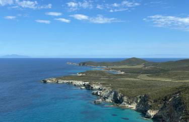 Vittoria Homes / Julia - Photo 21