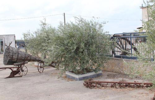 Agriturismo Silos Agri - Foto 27