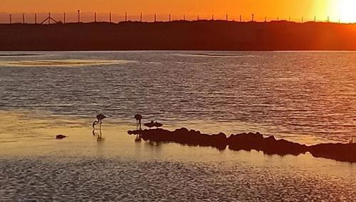 Casa Vacanza Antico Porto Lilla - Foto 5