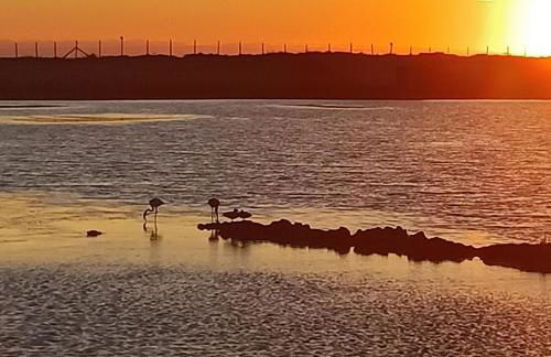 Casa Vacanza Antico Porto Lilla - Foto 5