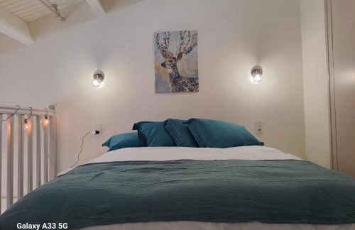 Location Papallona - Foto 55