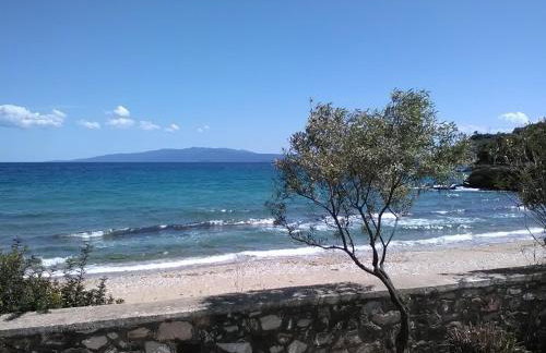 House Kokkalas on the beach - Photo 2