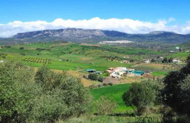 Casa rural Los Alcaidejos con piscina - Foto 21