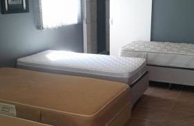 RECANTO K9 - SERRA NEGRA SP. No verão e no inverno - Foto 6