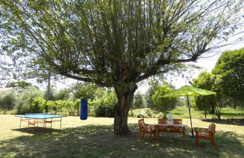 SCAPPO IN UMBRIA, Felicità 14a - Foto 15