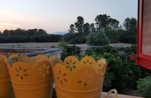 Finca Sa Cova de Mallorca - Foto 19