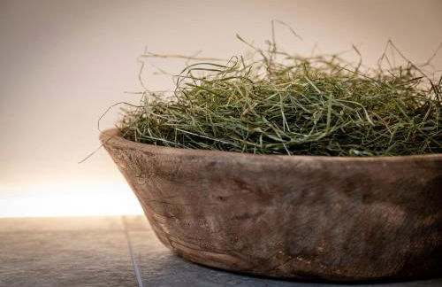 Alperie Ferienhaus - Foto 44