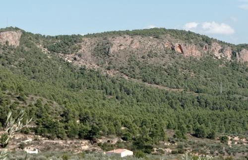 El Valle de Yeste - Foto 19