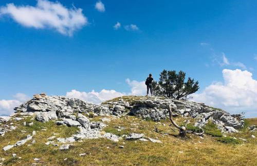 L'étable du Vercors - Foto 31