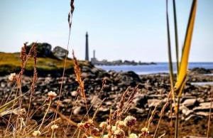 Gite Ker Domi 3 personnes-Plages et GR34 à pied Plouguerneau - Foto 39