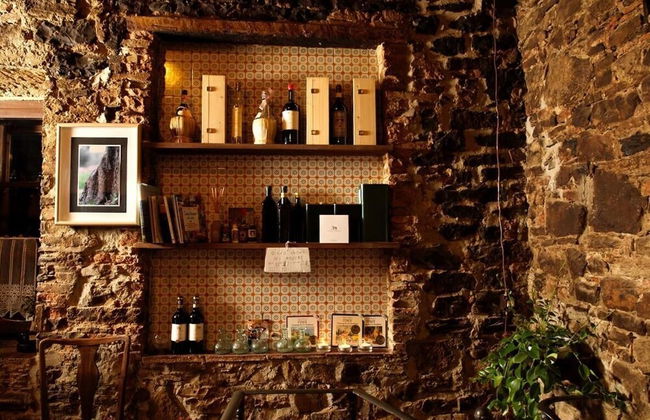 Podere Terreno alla Via della Volpaia - Foto 44