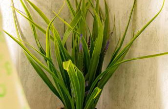 La Casa De Vacation - Foto 41