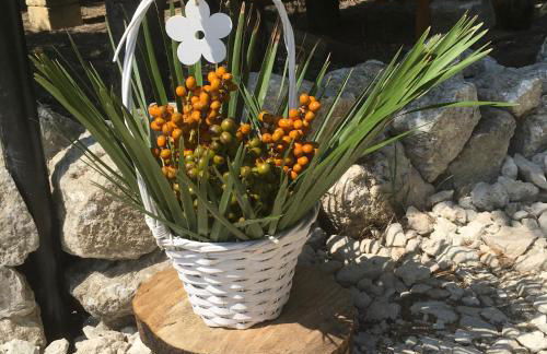 Agriturismo Adenzia - Foto 17