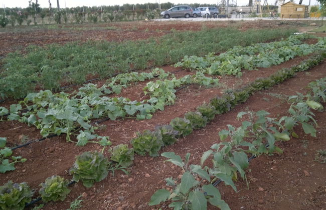 Podere40 Country Hotel - Foto 73