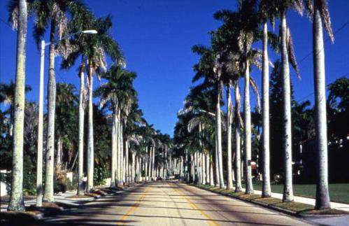 Florida Cottage with Pool in Fort Myers - Foto 10