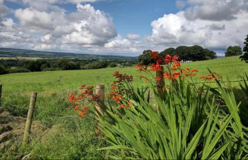 Ballymakeever Appartment - Private Hot Tub - Foto 34