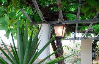 Sunsea Wellness Resort - Foto 68