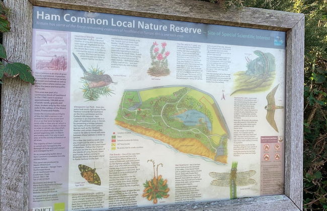 Smith's Haven - Foto 11