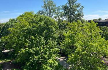 Moderne Design-Wohnung nah an Messe Maschsee - Foto 14