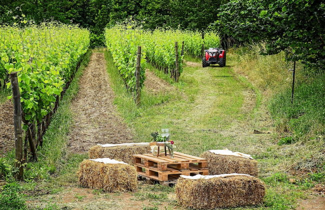 Agriturismo Guerritore - Foto 28