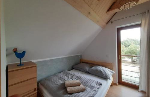 Dom Geografów - Foto 12