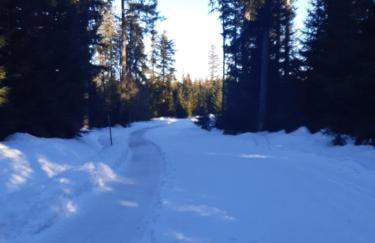 Fewo Schwarzwald Von Oben - Kniebis - Foto 22