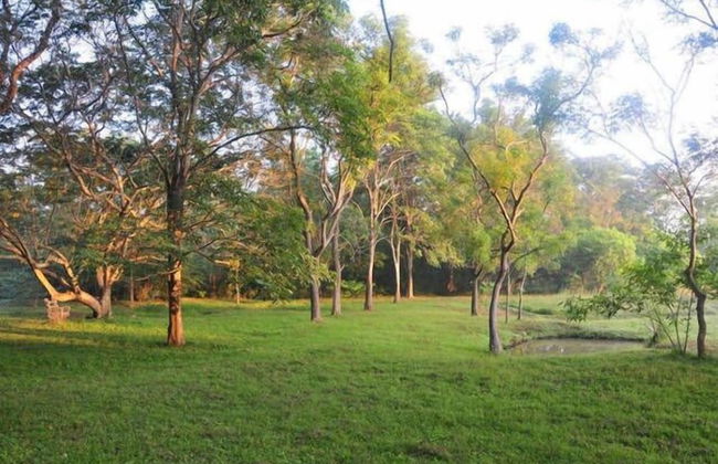 Water's Edge Anuradhapura - Foto 19