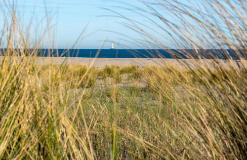 Résidence Les Alcyons - Foto 37