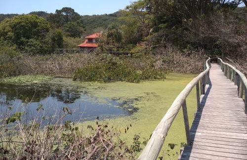 Apartamento de 2 quartos a 3 minutos a pé da praia de Cachoeira de Bom Jesu com águas calmas - Foto 35