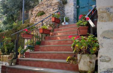 VILLINO BRUNETTO azienda agrituristica - Foto 6